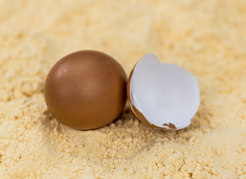 1650268176918331.jpg 鸡蛋.jpg